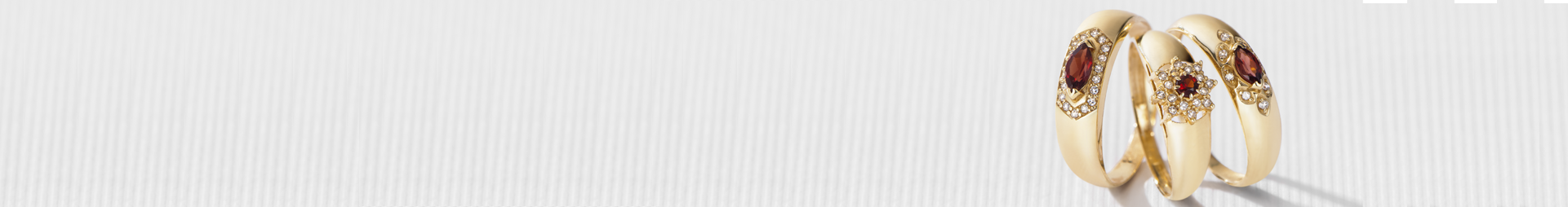 Banner Institucional