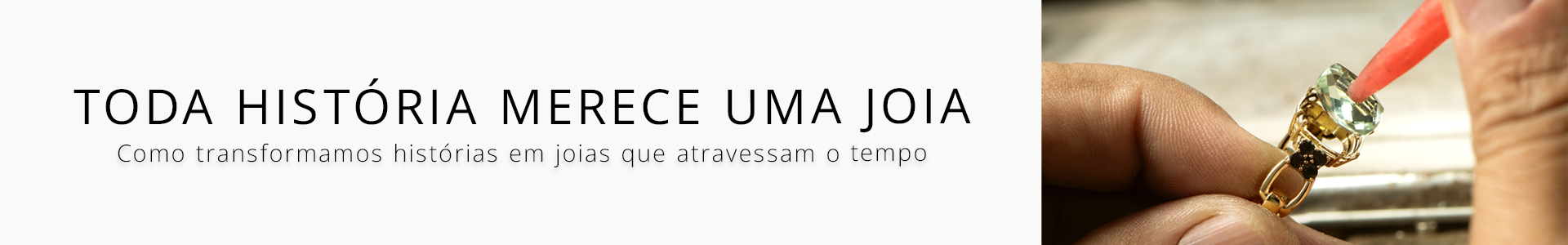 Banner Institucional
