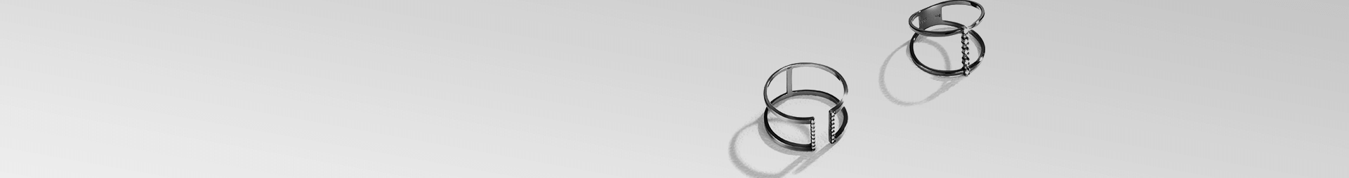 Banner Institucional